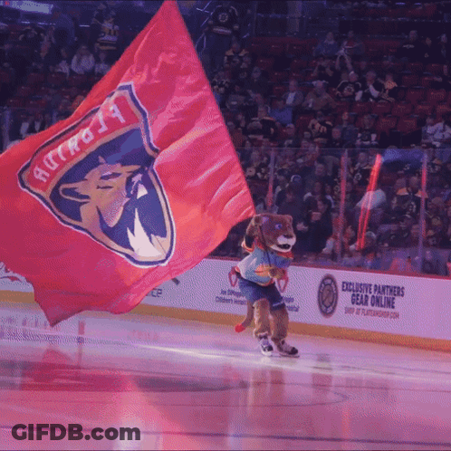 Panthers Mascot Holding Red Flag GIF