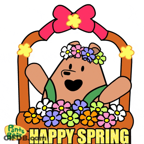 Pants Bear Happy Spring GIF