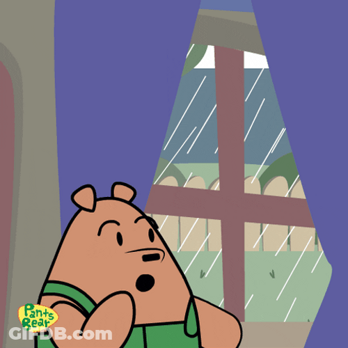 Pants Bear Looking Outside Thunderstorm GIF