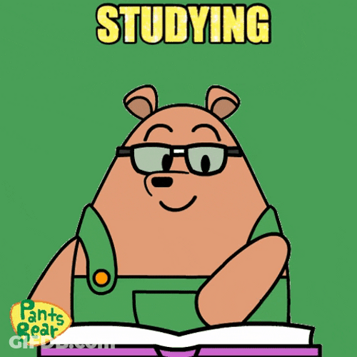Pants Bear Reading Book For Bar Exam GIF