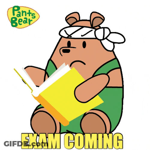 Pants Bear Seriously Reading Book Bar Exam GIF