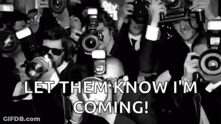 Paparazzi Camera Flash Meme GIF