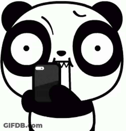 Paparazzi Mobile Pictures Koware Panda GIF