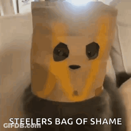 Paper Bag With Panda Face Steelers Bag Of Shame GIF
