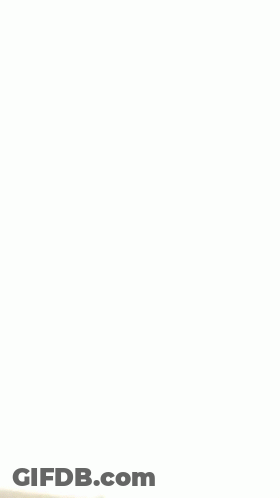 Paper Saying Normal GIF