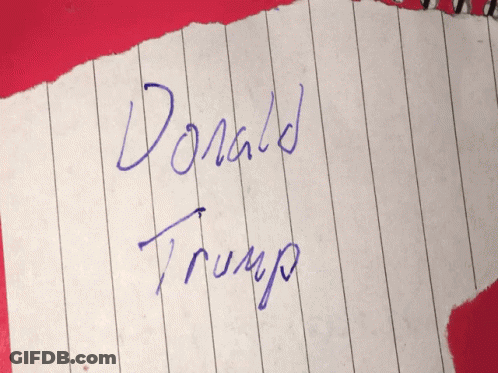 Paper With Donald Trump In Blue Marker GIF
