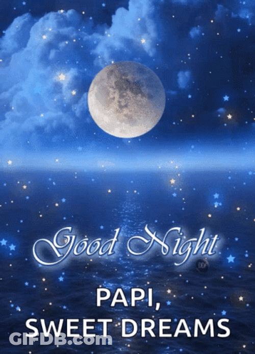 Papi Glowing And Sparkling Night Sky GIF