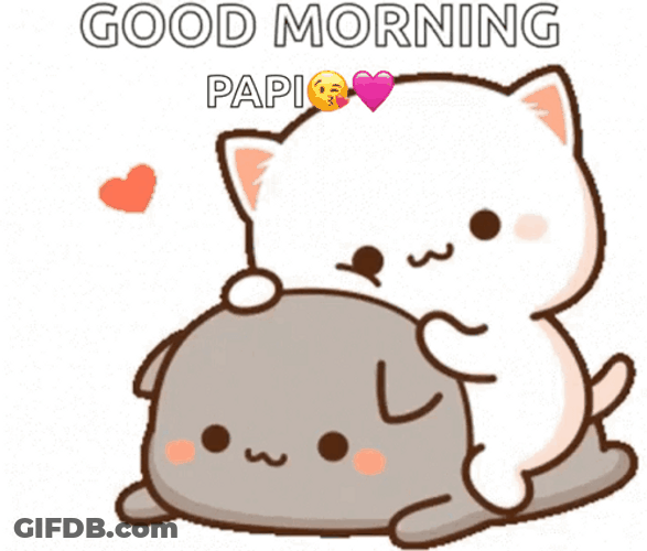 Papi Mochi And Peach GIF