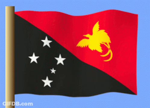 Papua New Guinea Flag Red Black Yellow GIF