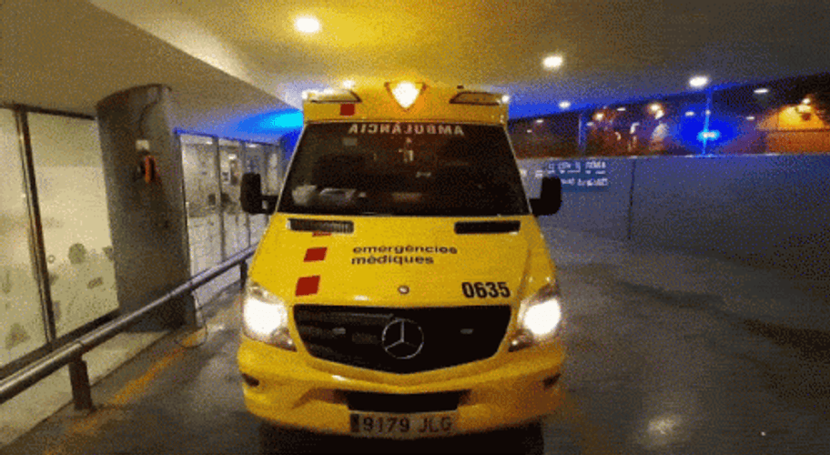 Paramedics Popping In Front Of An Ambulance GIF