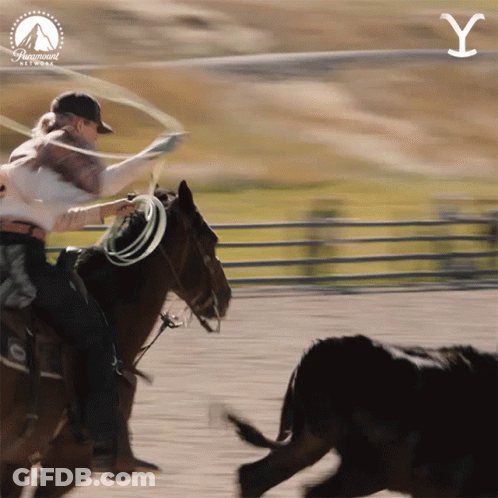 Paramount Logo Behind Cowboy And Bull GIF