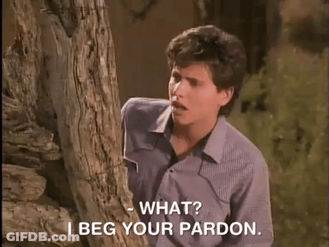 Pardon Me Hey Dude Ted McGriff GIF
