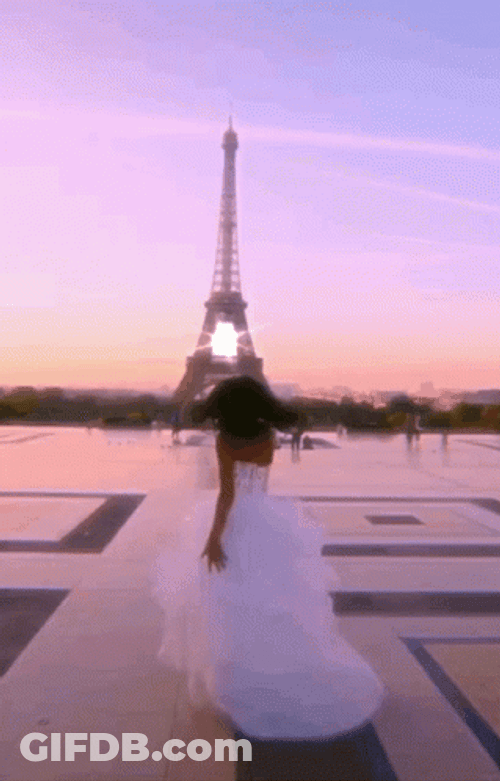 Paris France Travel GIF