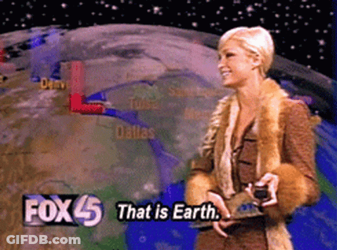 Paris Hilton News Reporting GIF