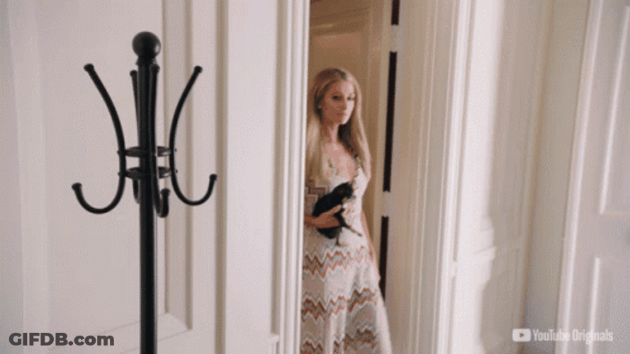 Paris Hilton Walking With Black Cat GIF