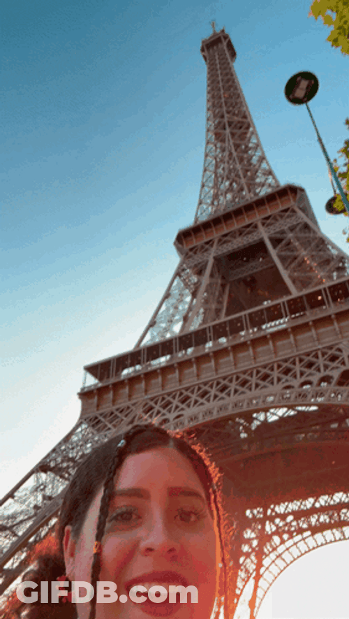 Paris Selfie With Me GIF