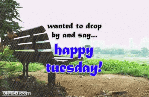 Park Bench Saying Happy Tuesday GIF