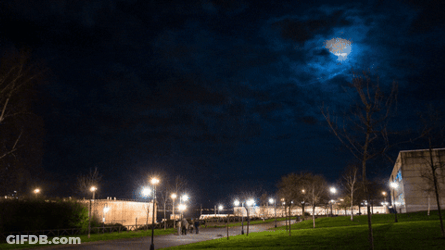 Park Cinematic Night Loop GIF