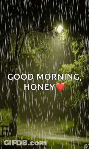 Park In The Rain Good Morning Honey GIF