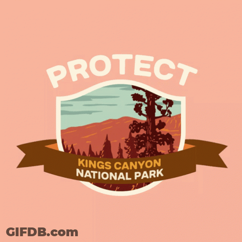 Park Protect Art Kings Canyon GIF