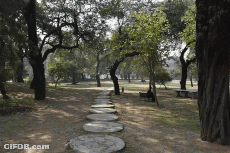 Park Trees Camera Shake GIF