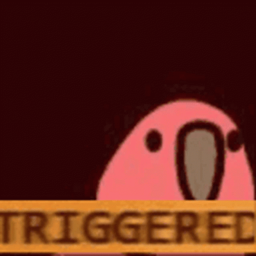Parrot Bird Shaking Triggered Meme GIF