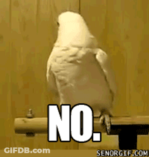 Parrot GIF