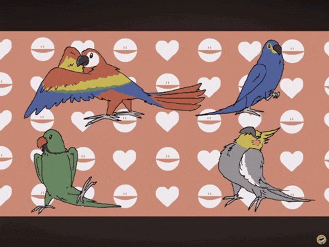 Parrot Dance GIF