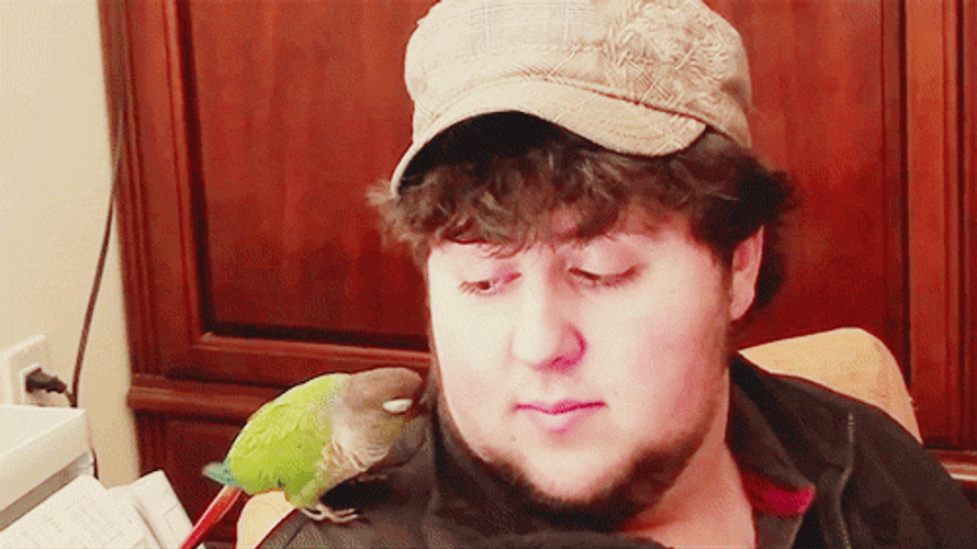 Parrot Kisses Jontron's Cheek GIF