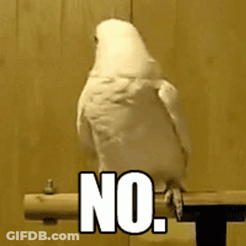 Parrot No GIF