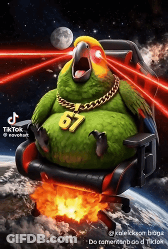 Parrot Wearing Number 67 Necklace Sitting In Chair GIF