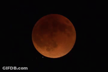 Partial Lunar Eclipse Dark Sky GIF