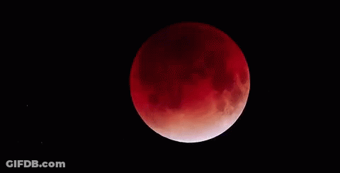 Partial Lunar Eclipse With Red Moon GIF