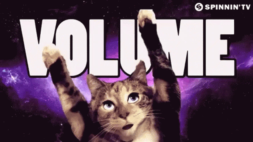 Party Cat Pump Volume GIF