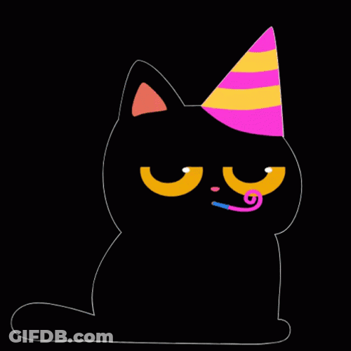 Party Cat Teftel Birthday GIF