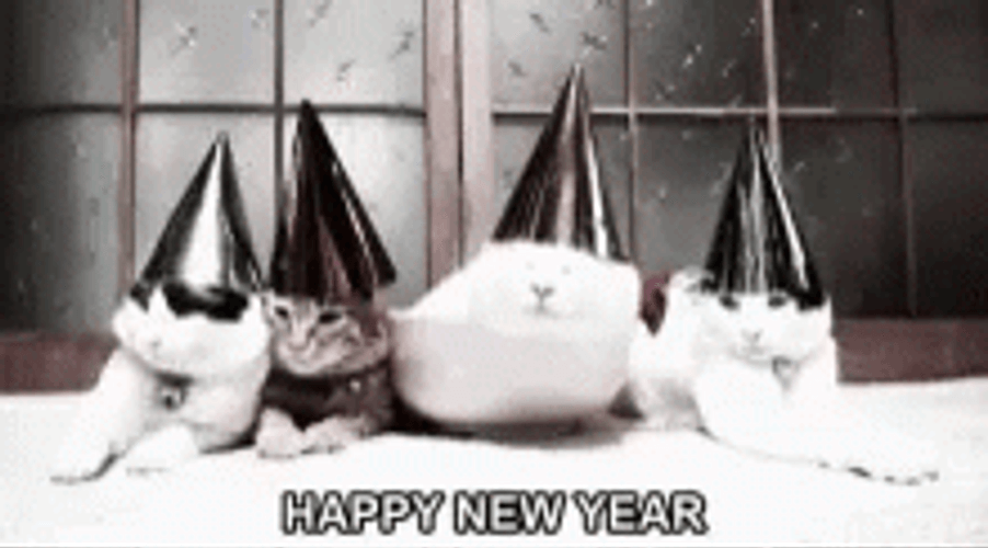 Party Cats Cute Happy New Year GIF