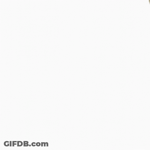 Party Dance Time Celebrate GIF