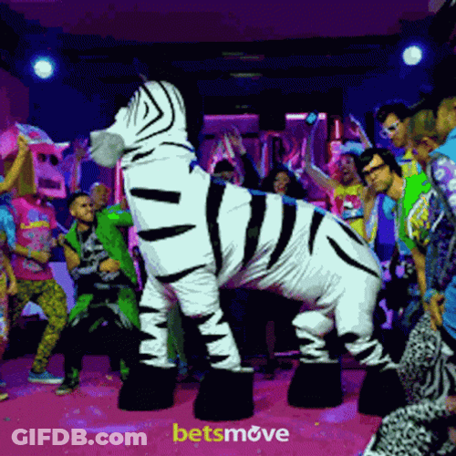 Party Dance Zoo Zebra Theme GIF