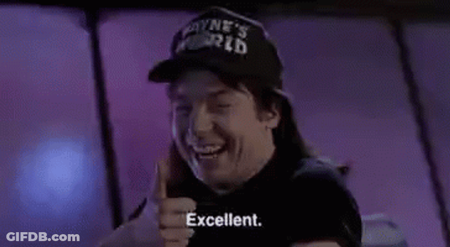 Party On Wayne Excellent GIF