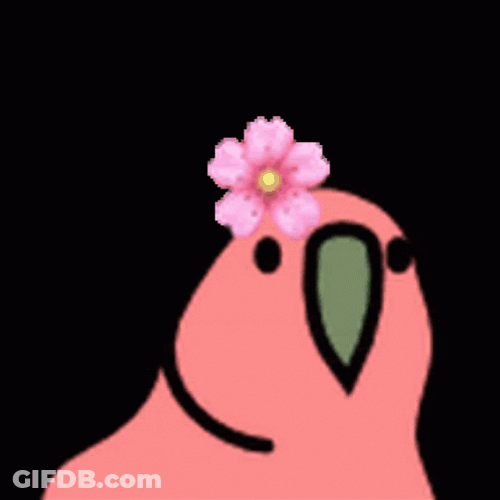 Party Parrot Funny Animal GIF