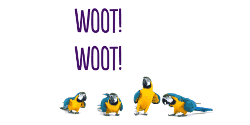 Party Parrots Head Banging Woot Woot GIF