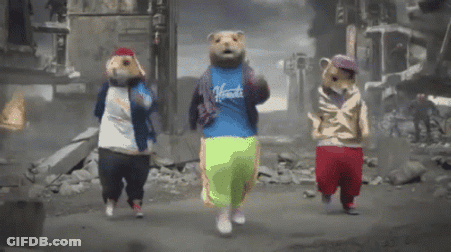 Party Rock Hamster Dancing Animal GIF