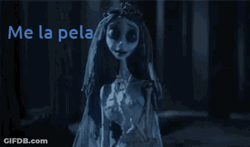 Paso GIF