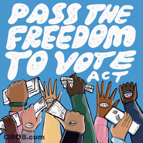 Pass The Freedom To Vote Act Poster GIF
