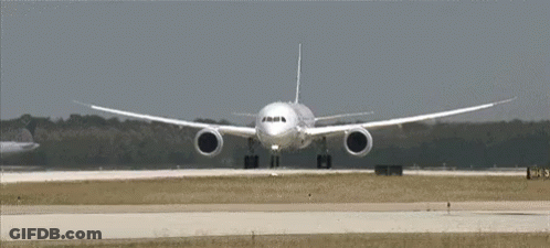 Passenger Jet Taking Off With 043 Sign GIF