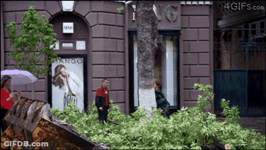 Passing Girl With Umbrella Almost Hit GIF