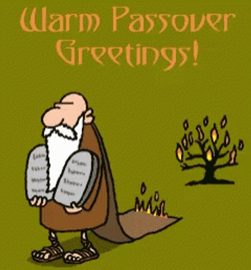 Passover Bush On Fire GIF