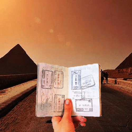 Passport Travel Destinations GIF