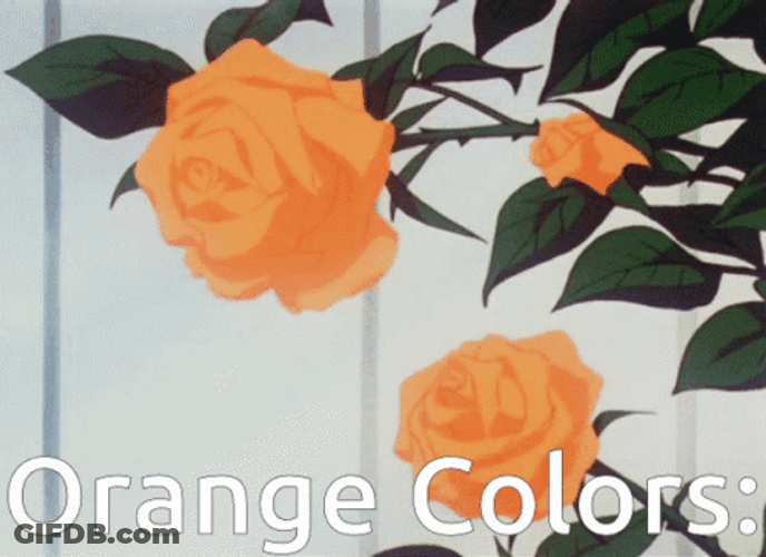 Pastel Orange Aesthetic Falling Rose Petals GIF