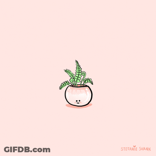 Pastel Orange Aesthetic GIF